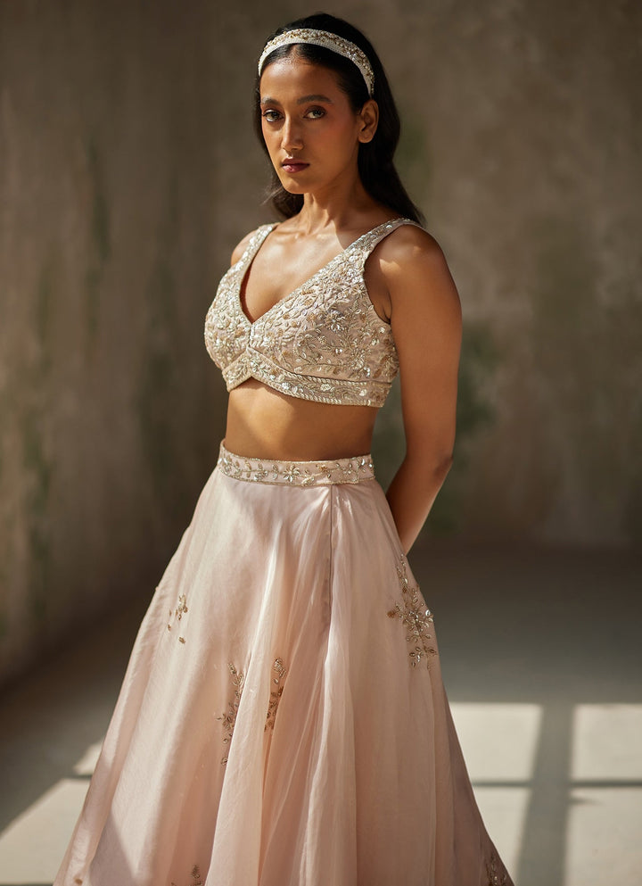 Champagne Pink Embroidered Lehenga Zoon Tribe - Fabilicious Fashion