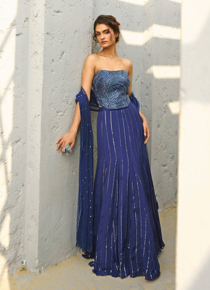Deep Blue Sequin Embroidered Skirt With Corset Chamee and Palak - Fabilicious Fashion