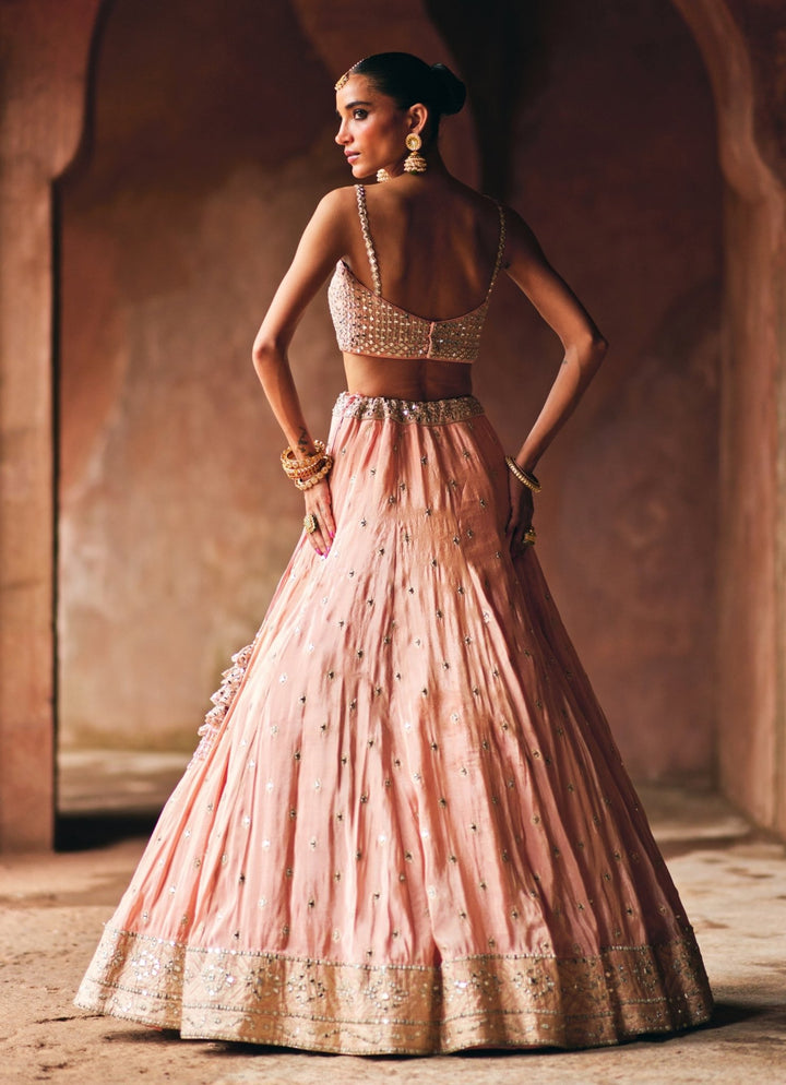 Dusty Peach Banarasi Tissue Lehenga Set Angad Singh - Fabilicious Fashion