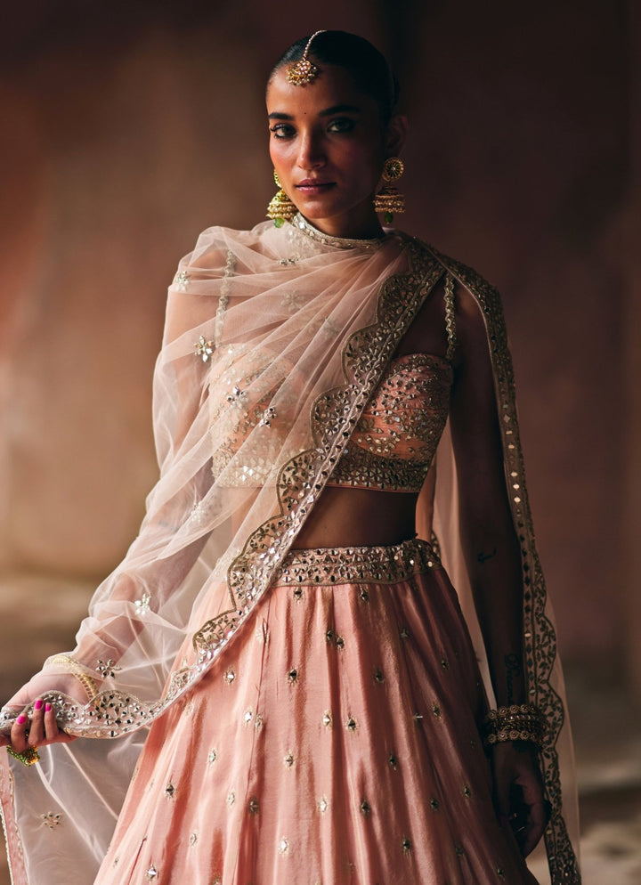 Dusty Peach Banarasi Tissue Lehenga Set Angad Singh - Fabilicious Fashion