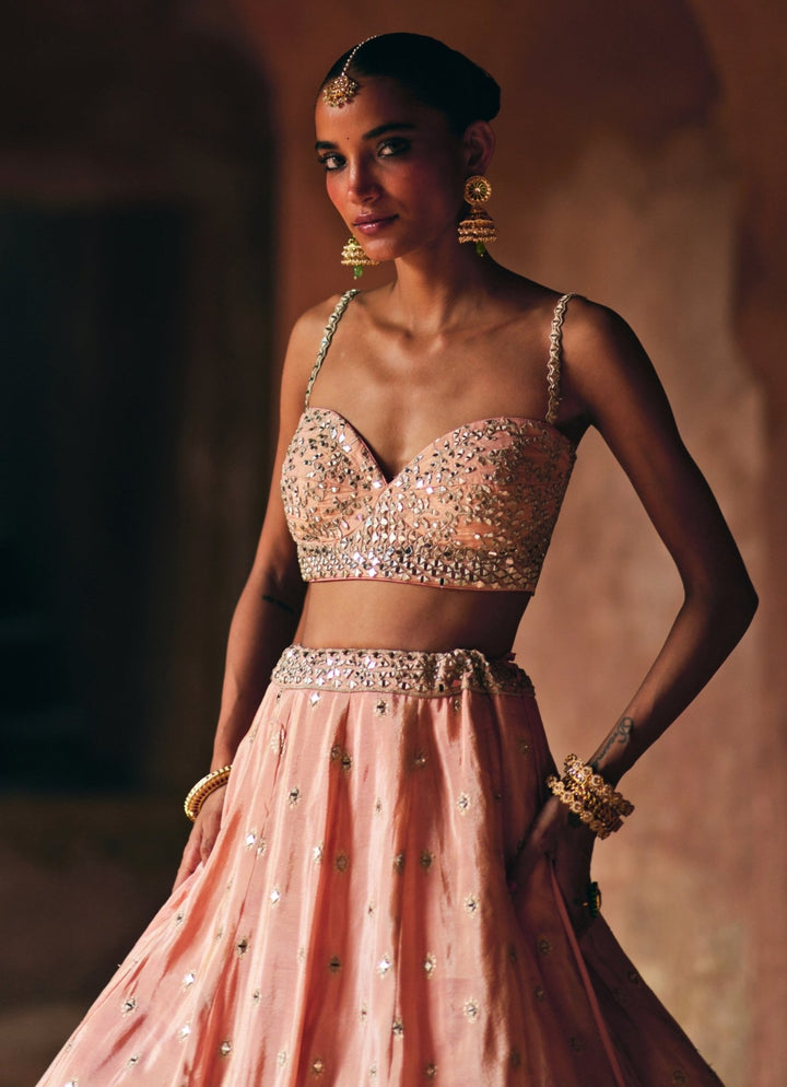 Dusty Peach Banarasi Tissue Lehenga Set Angad Singh - Fabilicious Fashion