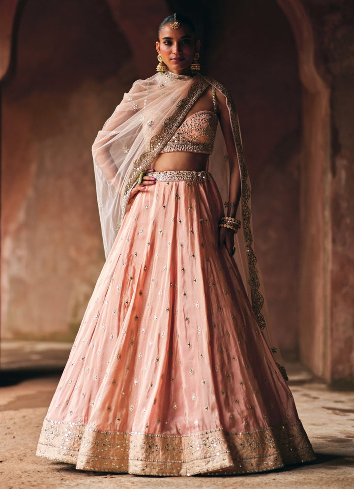 Dusty Peach Banarasi Tissue Lehenga Set Angad Singh - Fabilicious Fashion
