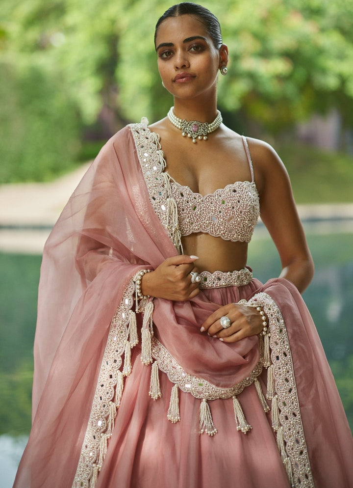 Dusty Rose Pearl Embroidered Organza Lehenga Set Vvani by Vani Vats - Fabilicious Fashion