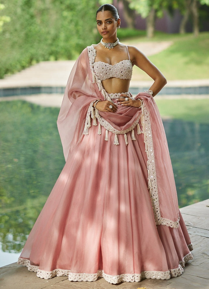 Dusty Rose Pearl Embroidered Organza Lehenga Set Vvani by Vani Vats - Fabilicious Fashion