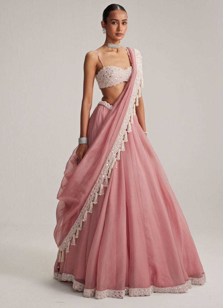Dusty Rose Pearl Embroidered Organza Lehenga Set Vvani by Vani Vats - Fabilicious Fashion