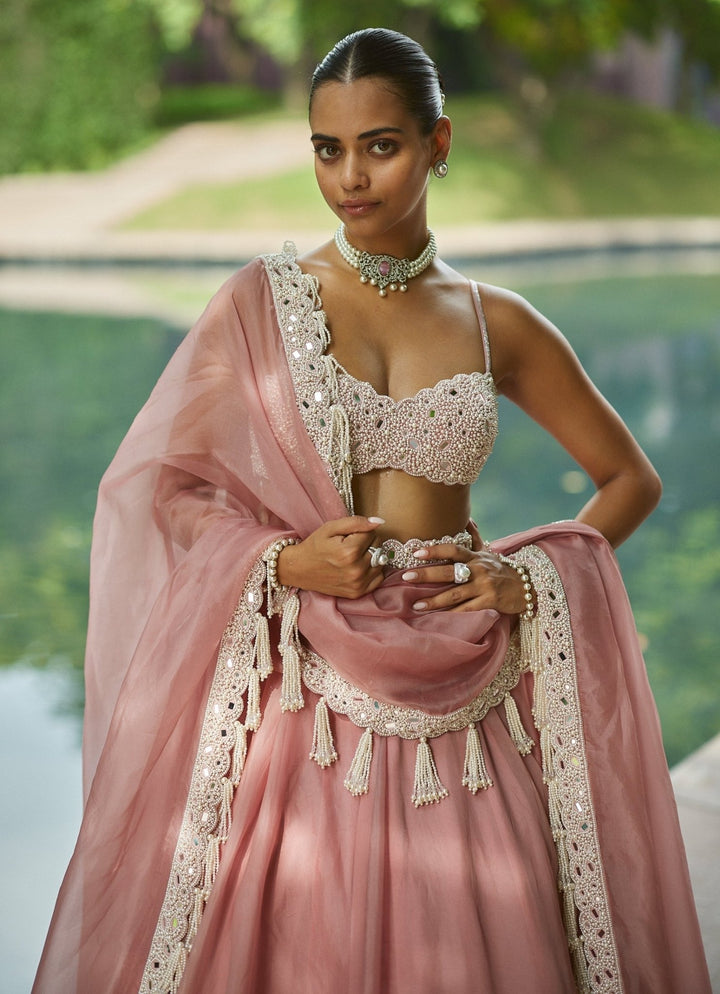 Dusty Rose Pearl Embroidered Organza Lehenga Set Vvani by Vani Vats - Fabilicious Fashion
