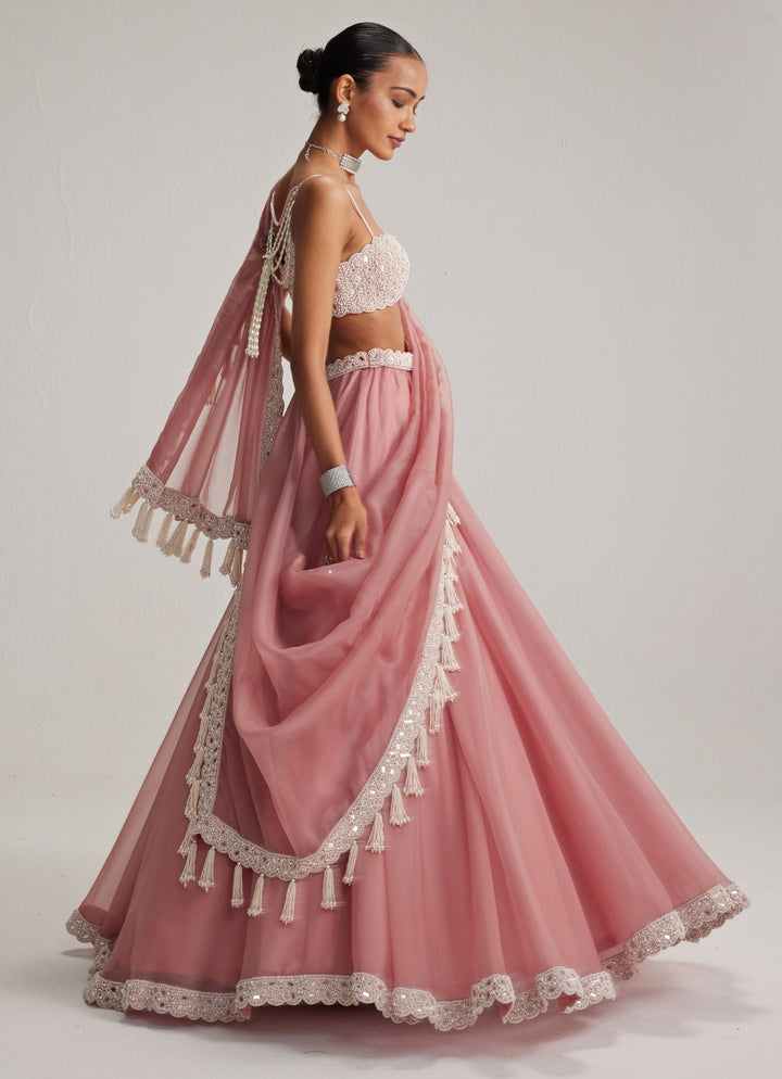 Dusty Rose Pearl Embroidered Organza Lehenga Set Vvani by Vani Vats - Fabilicious Fashion
