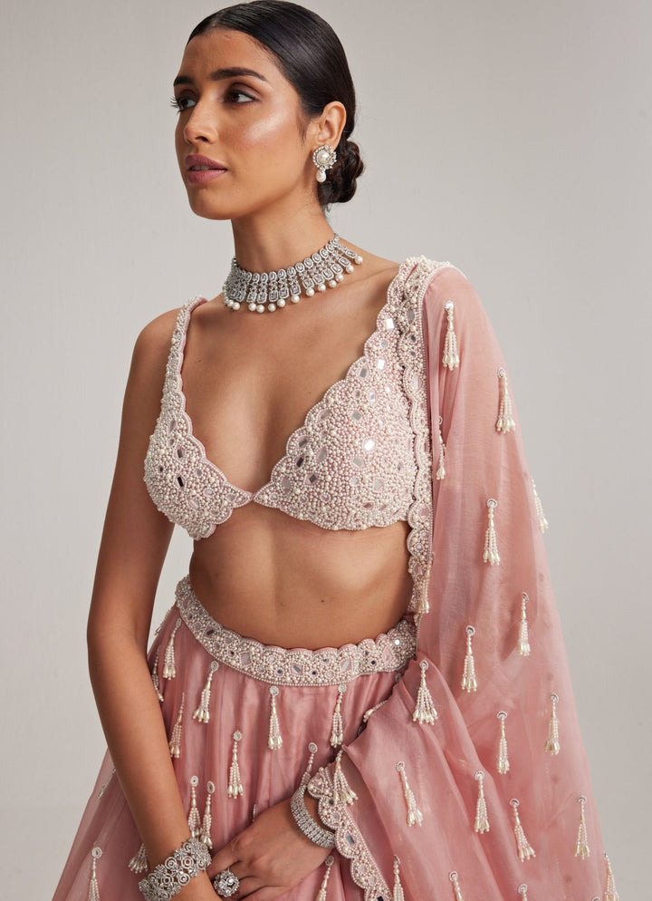 Dusty Rose Pearl Tasseled Organza Lehenga Set Vvani by Vani Vats - Fabilicious Fashion