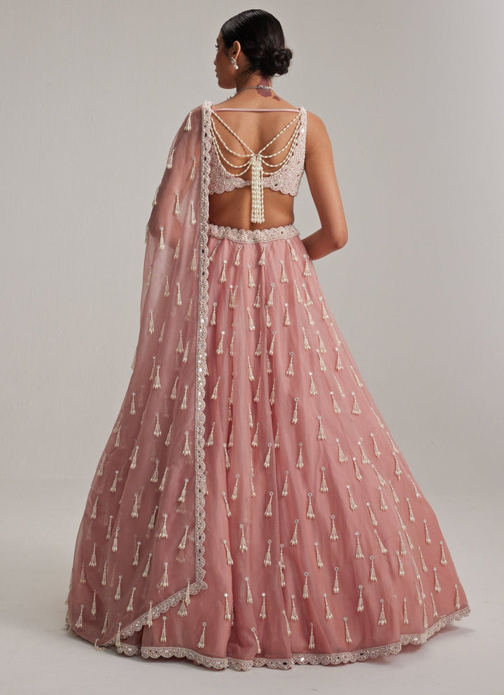 Dusty Rose Pearl Tasseled Organza Lehenga Set Vvani by Vani Vats - Fabilicious Fashion