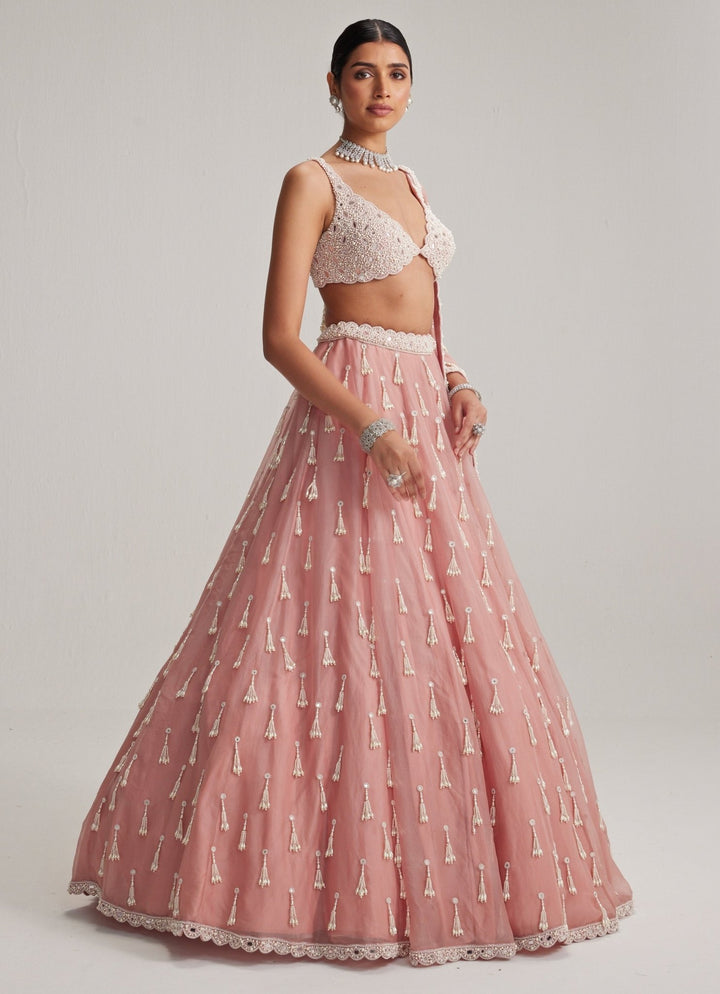 Dusty Rose Pearl Tasseled Organza Lehenga Set Vvani by Vani Vats - Fabilicious Fashion