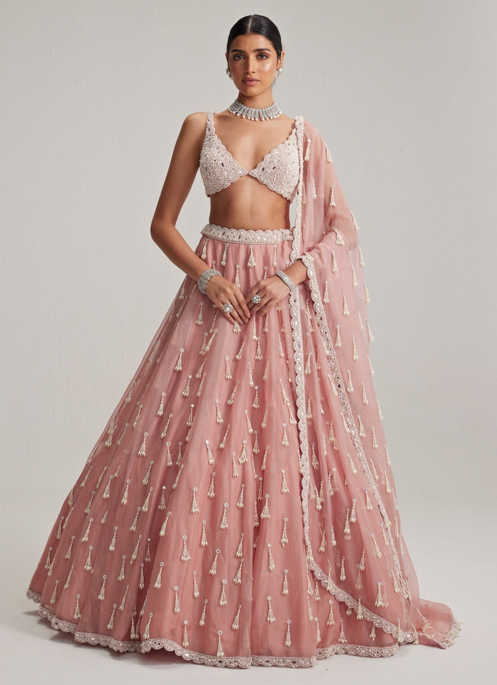 Dusty Rose Pearl Tasseled Organza Lehenga Set Vvani by Vani Vats - Fabilicious Fashion