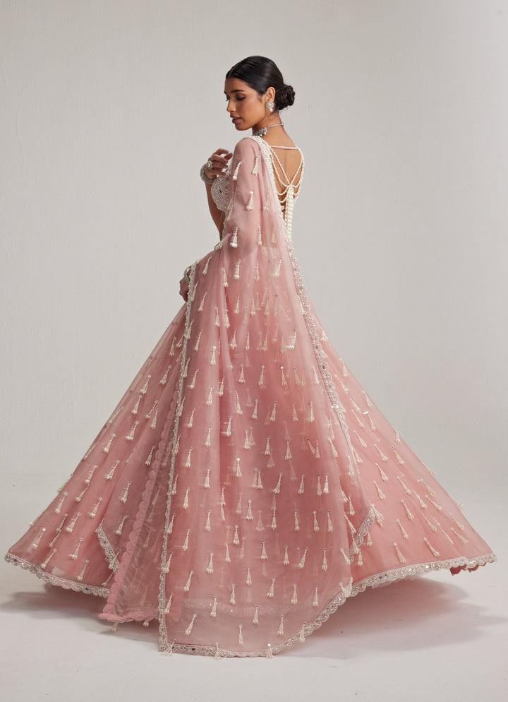 Dusty Rose Pearl Tasseled Organza Lehenga Set Vvani by Vani Vats - Fabilicious Fashion