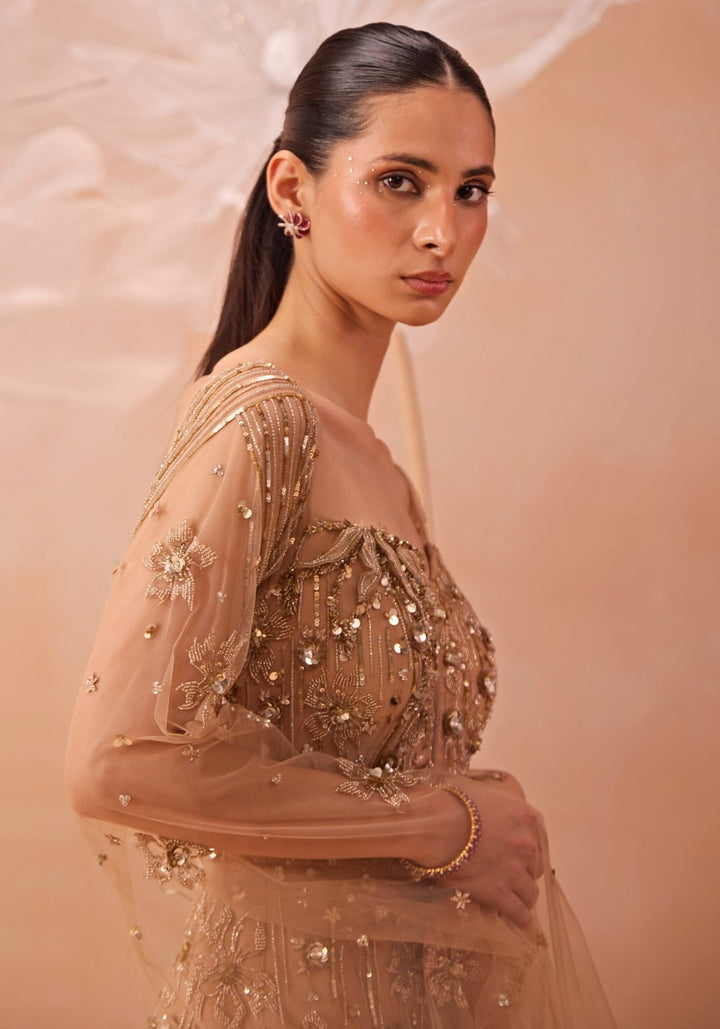 Gold Embellished Gown Parul Gandhi - Fabilicious Fashion