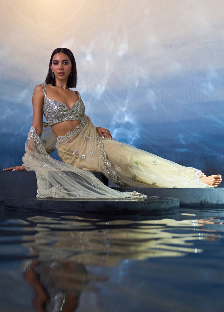 Gold Embellished Mirror Net Saree Angad Singh - Fabilicious Fashion