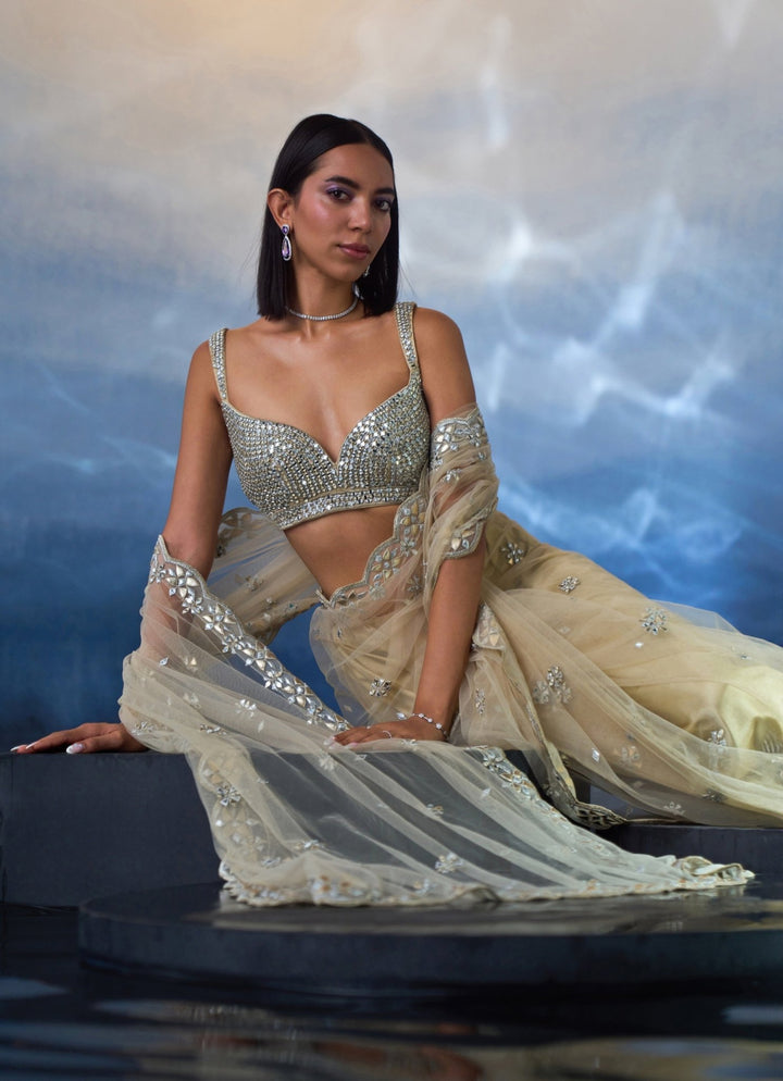 Gold Embellished Mirror Net Saree Angad Singh - Fabilicious Fashion