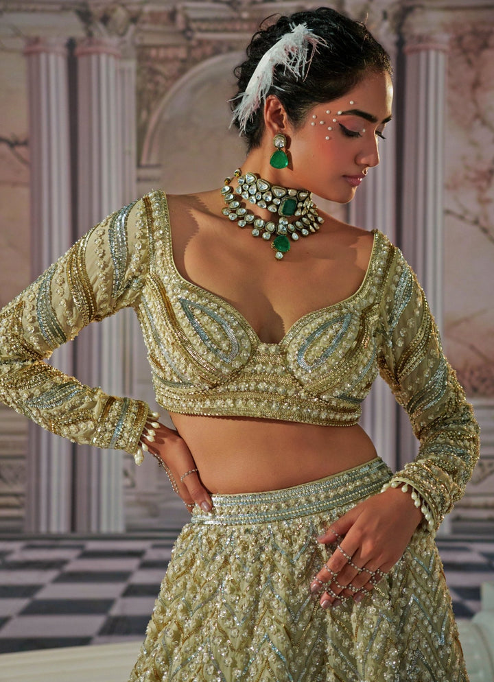 Gold Embroidered Organza Lehenga Nidhika Shekhar - Fabilicious Fashion