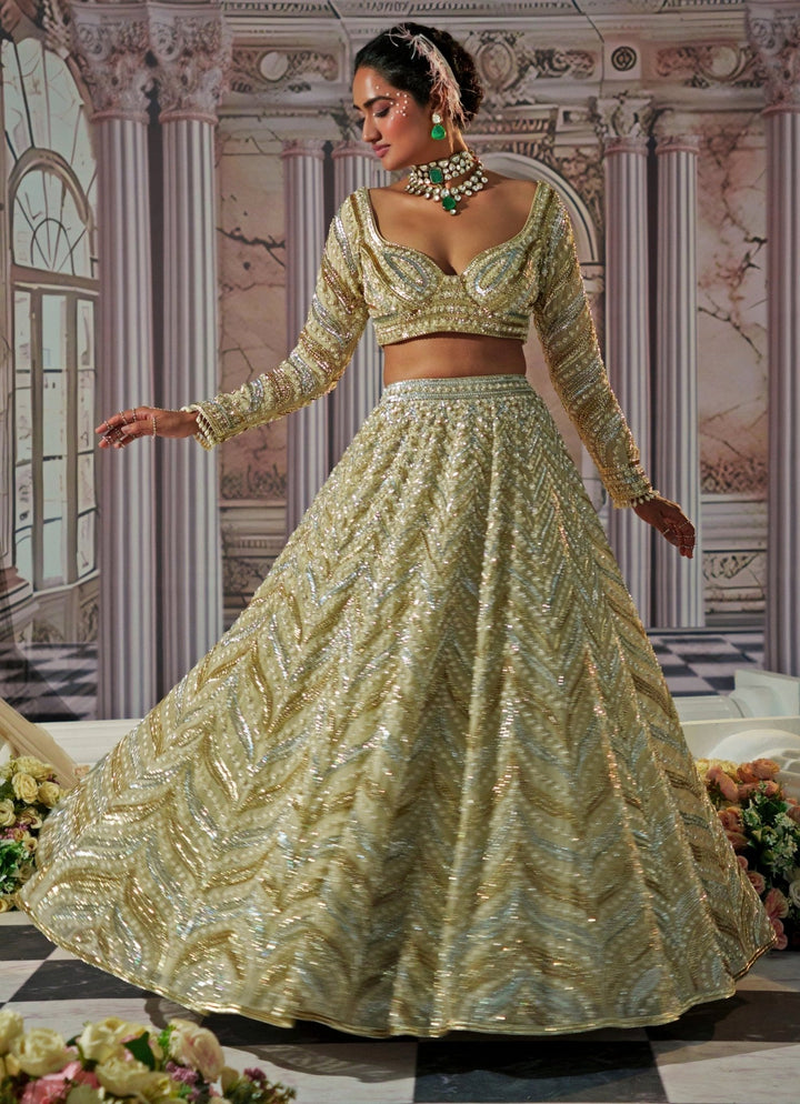 Gold Embroidered Organza Lehenga Nidhika Shekhar - Fabilicious Fashion