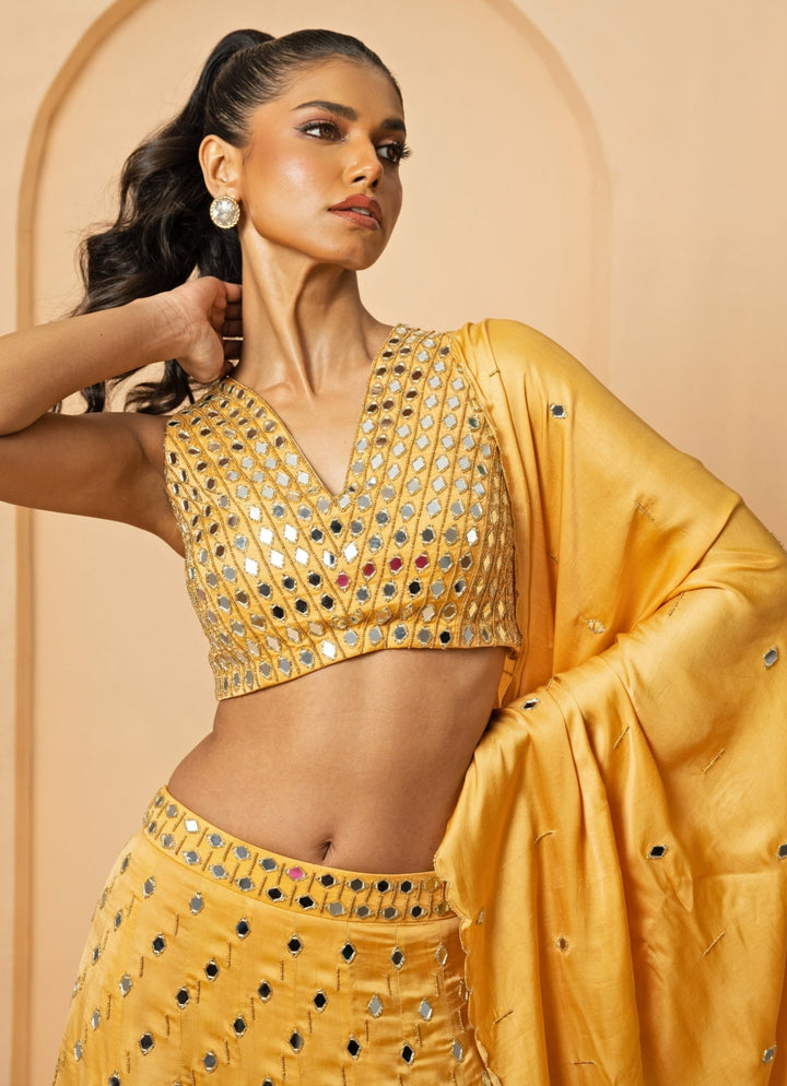 Gold Mirror Embroidered Lehenga Set Quench A Thirst - Fabilicious Fashion