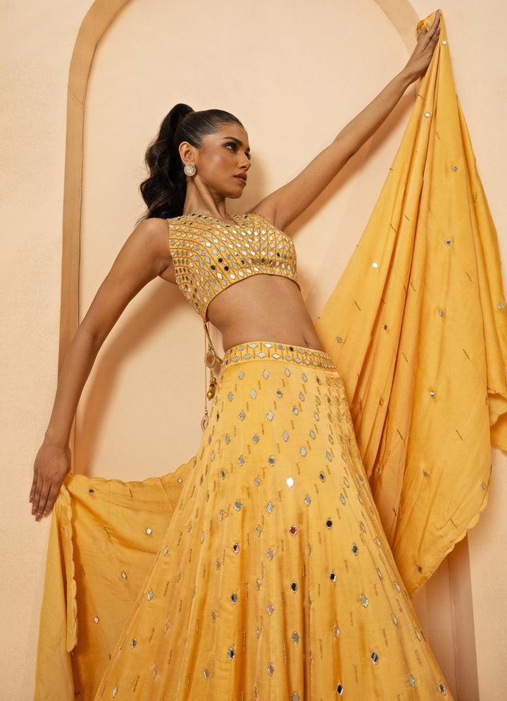 Gold Mirror Embroidered Lehenga Set Quench A Thirst - Fabilicious Fashion