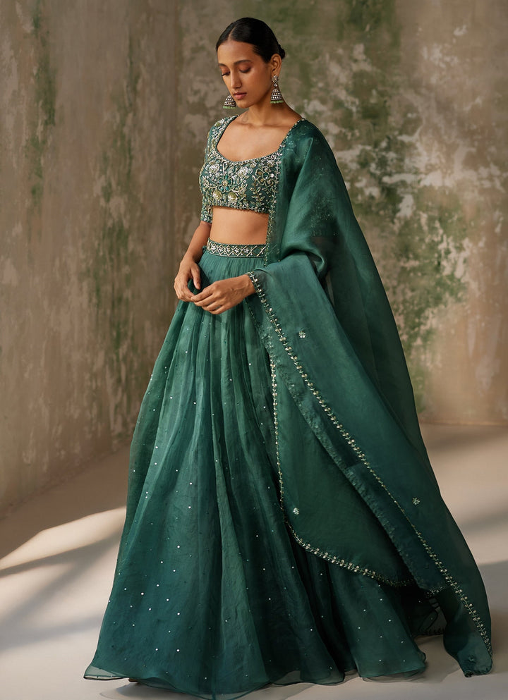 Green Embroidered Silk Organza Lehenga Set Zoon Tribe - Fabilicious Fashion
