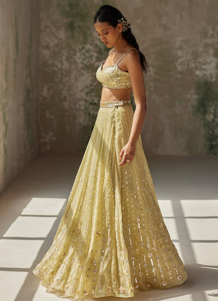 Green Embroidered Silk Organza Lehenga Zoon Tribe - Fabilicious Fashion