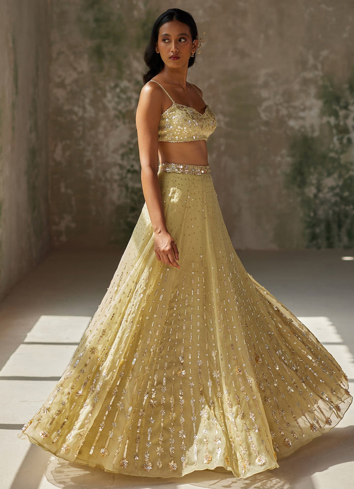 Green Embroidered Silk Organza Lehenga Zoon Tribe - Fabilicious Fashion