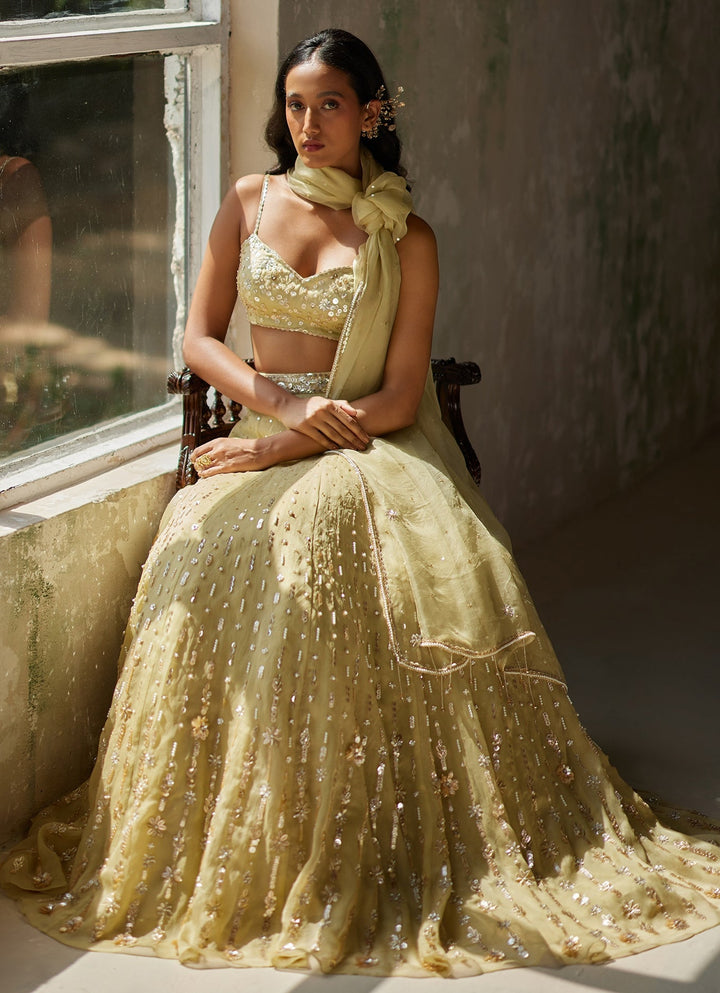 Green Embroidered Silk Organza Lehenga Zoon Tribe - Fabilicious Fashion