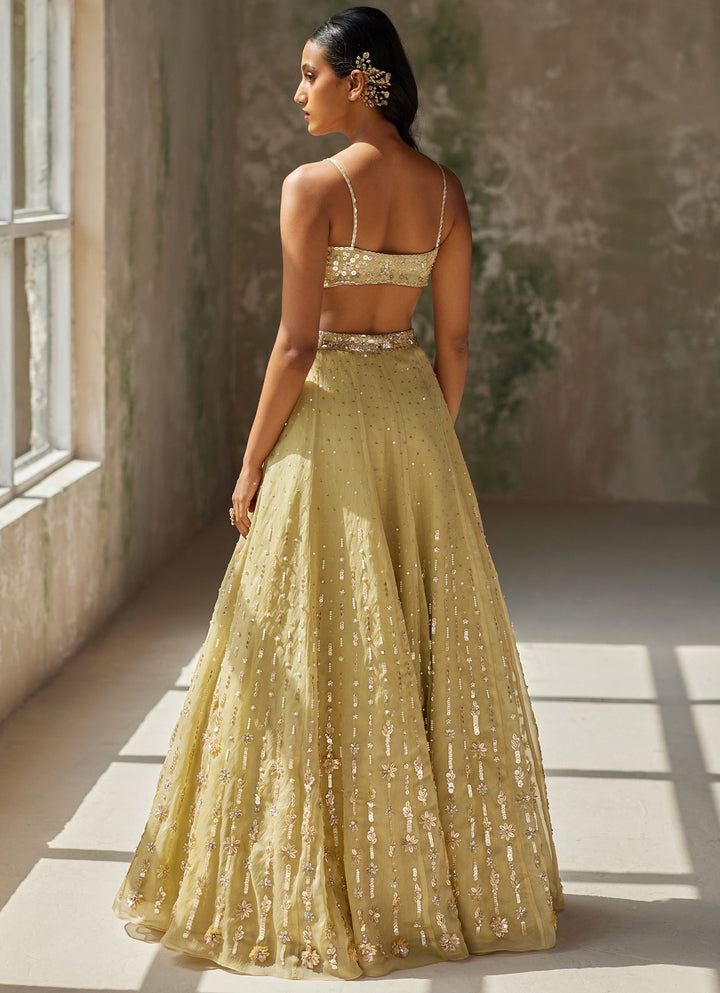 Green Embroidered Silk Organza Lehenga Zoon Tribe - Fabilicious Fashion