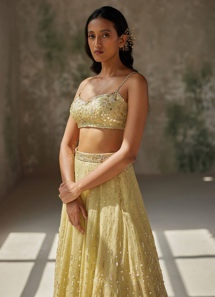 Green Embroidered Silk Organza Lehenga Zoon Tribe - Fabilicious Fashion