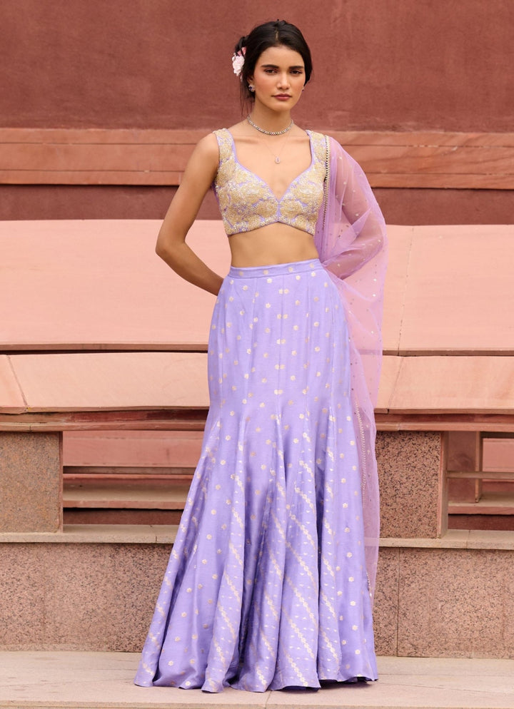 Lavender Jamewar Lehenga set Chamee and Palak - Fabilicious Fashion