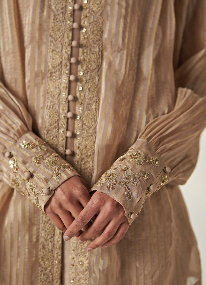 Nude Gold Embroidered Organza Shirt And Pant Set Studio Bagechaa - Fabilicious Fashion
