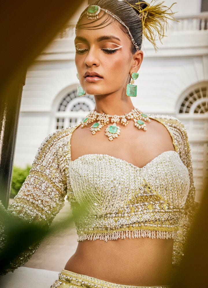 Pastel Yellow Crystal Embroidered Mermaid Lehenga Set Mani Bhatia - Fabilicious Fashion