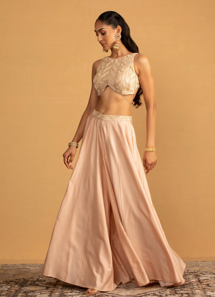 Peach Georgette Embroidered Sharara set Esha Koul - Fabilicious Fashion