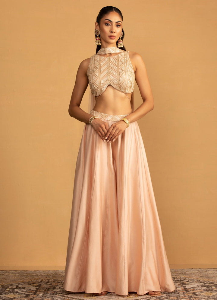 Peach Georgette Embroidered Sharara set Esha Koul - Fabilicious Fashion