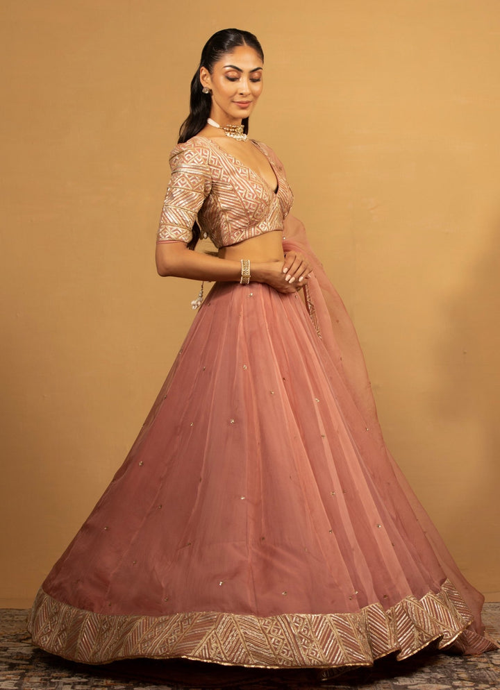 Pink Organza Embroidered Lehenga Set Esha Koul - Fabilicious Fashion