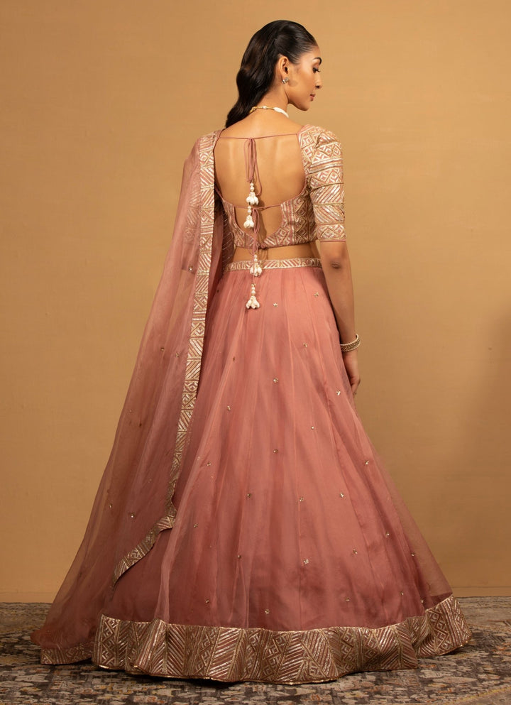 Pink Organza Embroidered Lehenga Set Esha Koul - Fabilicious Fashion