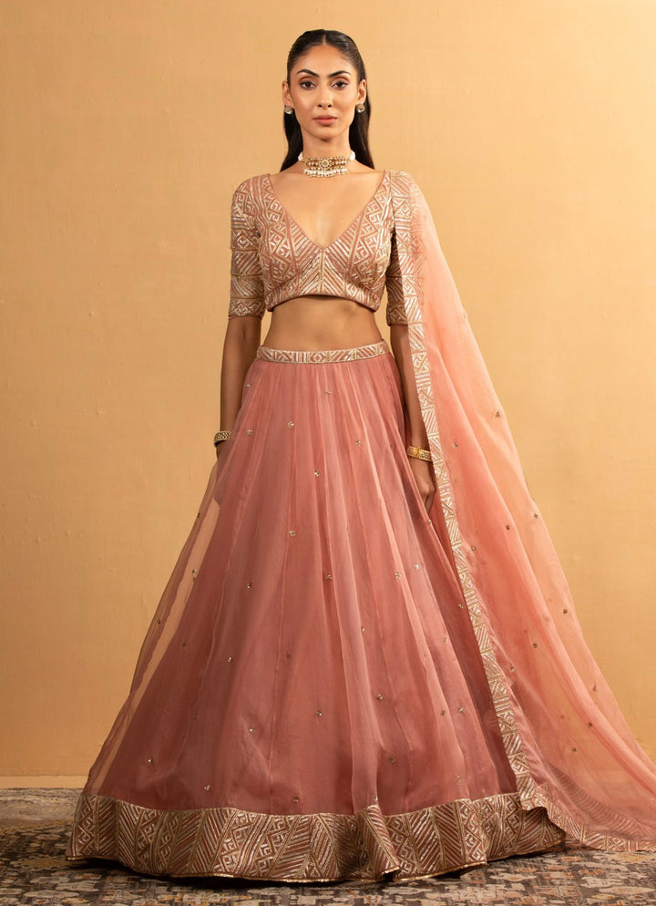 Pink Organza Embroidered Lehenga Set Esha Koul - Fabilicious Fashion