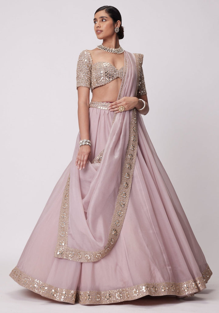 Pink Organza Lehenga With Embroidered Elbow Sleeves Blouse Vvani by Vani Vats - Fabilicious Fashion