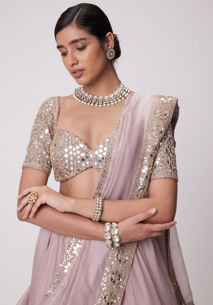 Pink Organza Lehenga With Embroidered Elbow Sleeves Blouse Vvani by Vani Vats - Fabilicious Fashion