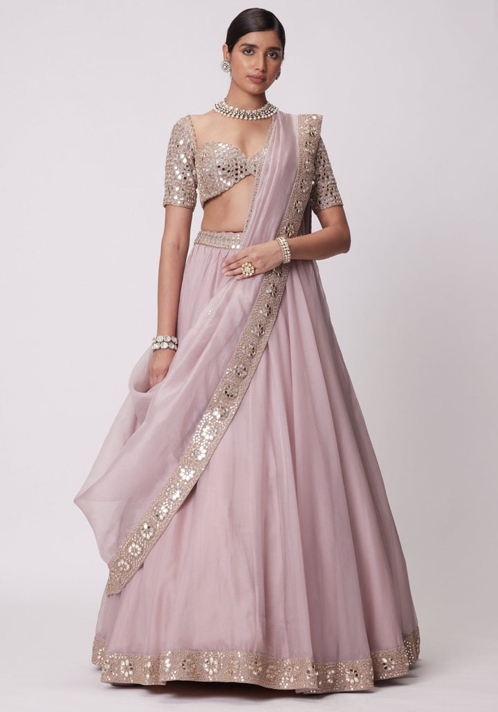 Pink Organza Lehenga With Embroidered Elbow Sleeves Blouse Vvani by Vani Vats - Fabilicious Fashion