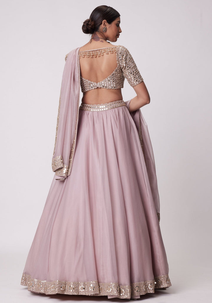 Pink Organza Lehenga With Embroidered Elbow Sleeves Blouse Vvani by Vani Vats - Fabilicious Fashion