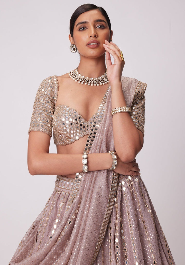 Pink Sequin And Mirror Lehenga Set With Elbow Length Blouse Vvani by Vani Vats - Fabilicious Fashion