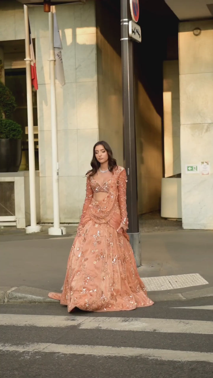 Orange Embroidered And Pre-Draped Organza Saree