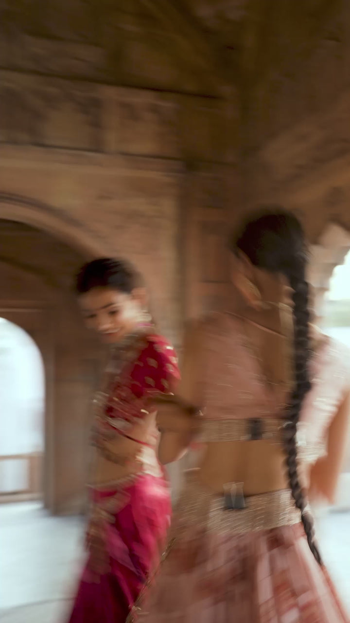 Soft Pink Printed Organza Embroidered Lehenga