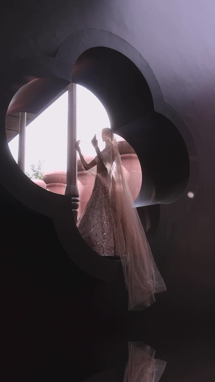 Blush Pink Embroidered Organza Lehenga