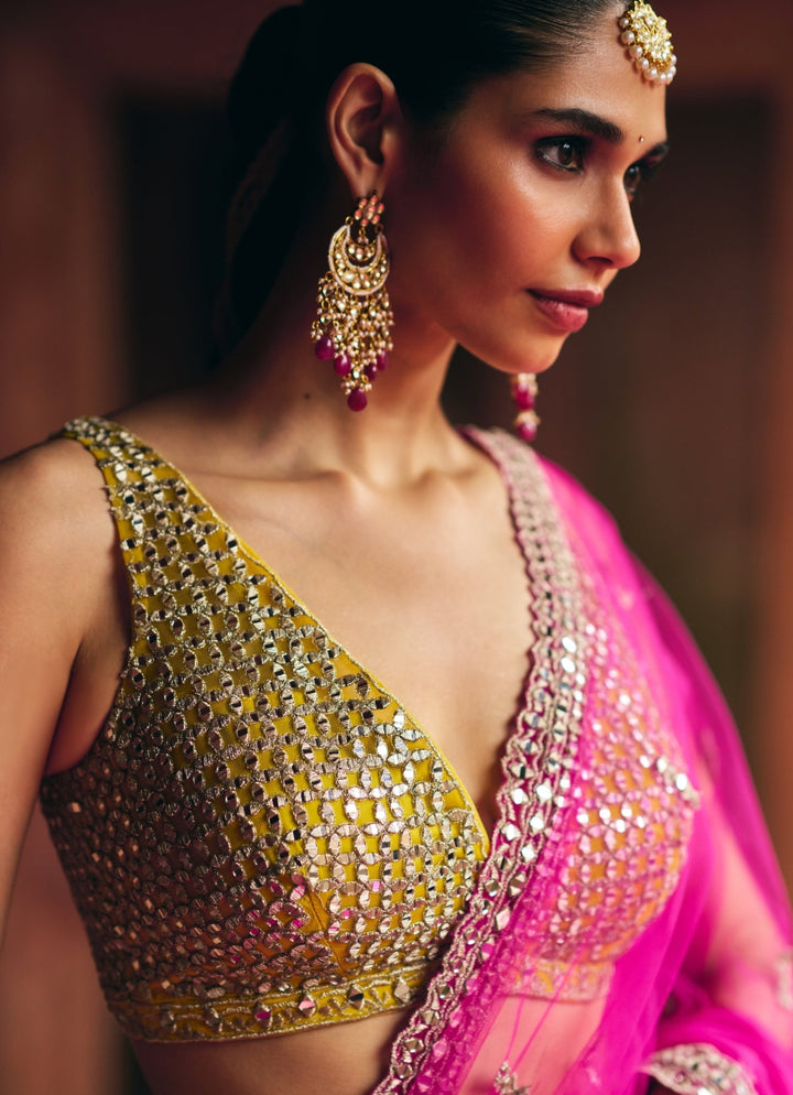 Rani Pink Embroidered Net Saree With Gold Blouse Angad Singh - Fabilicious Fashion