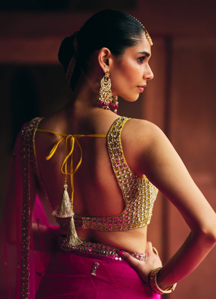 Rani Pink Embroidered Net Saree With Gold Blouse Angad Singh - Fabilicious Fashion