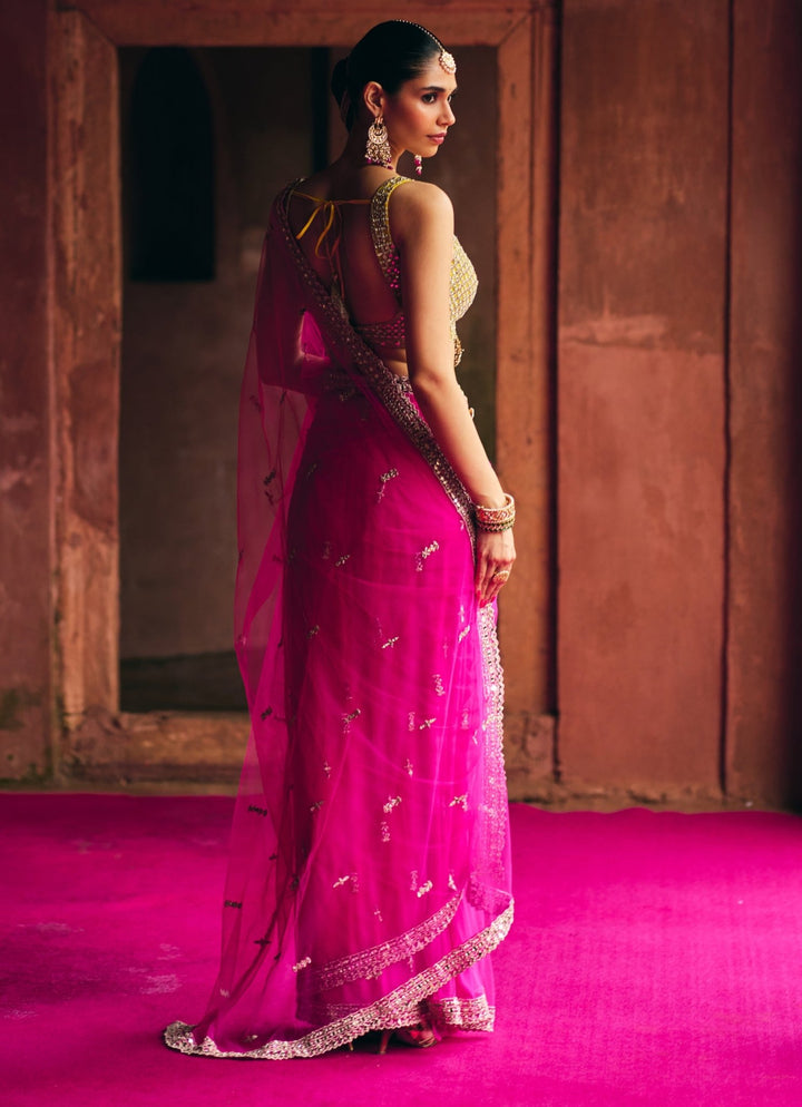Rani Pink Embroidered Net Saree With Gold Blouse Angad Singh - Fabilicious Fashion