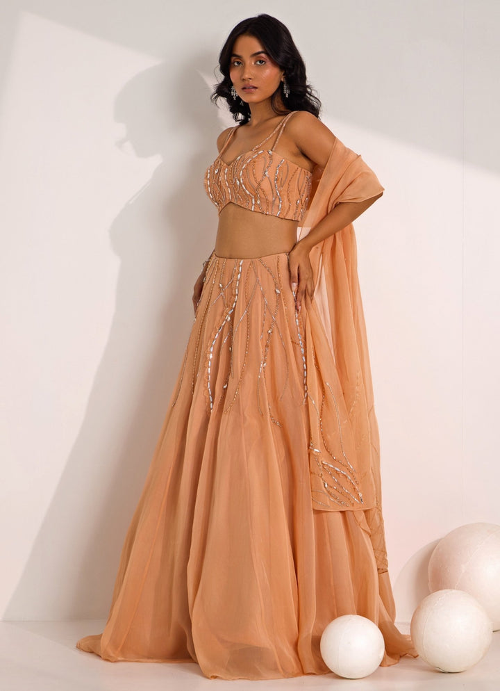 Rose Gold Embellished Organza Lehenga Set Silky Bindra - Fabilicious Fashion