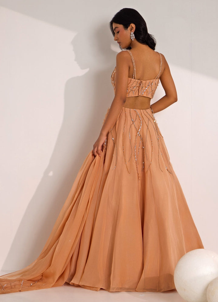Rose Gold Embellished Organza Lehenga Set Silky Bindra - Fabilicious Fashion
